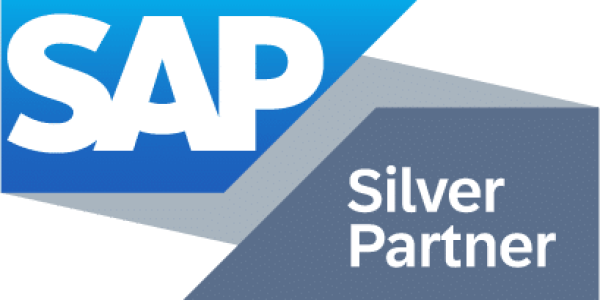 Sap silber partner logog